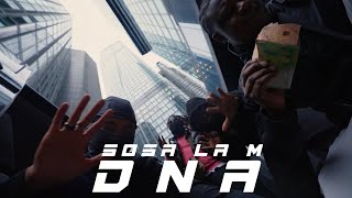 Sosa La M  DNA prod by nilly [upl. by Atreb]