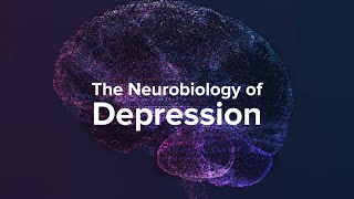 How Depression Affects The Brain  Yale Medicine Explains [upl. by Yentihw]