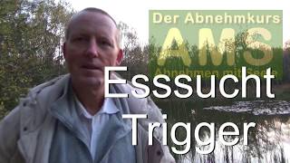 Abnehmen Esssucht Trigger [upl. by Lieberman673]