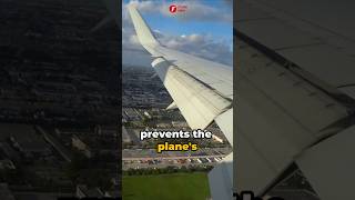 Why are Most Airplanes White facts flashinfo airplane why [upl. by Ajiam330]