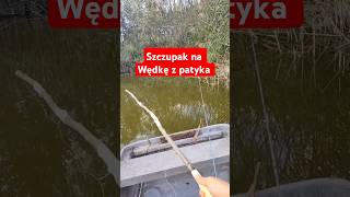 Szczupak na wędkę zrobioną z patyka szczupak wędkarstwo fishing [upl. by Odrahcir]