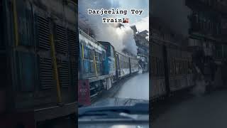 Darjeeling Toy Train darjeeling train tour trainride toytrain shorts viralshorts [upl. by Annette]