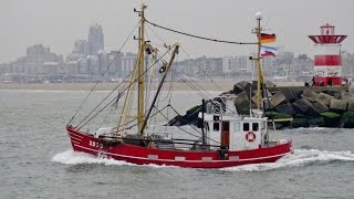 Duitse kotters 7 stuks lossen en naar zee scheveningen 24102016 [upl. by Naillig]