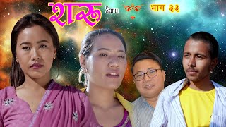 नारिको बेदना शरु भाग ३३  New Nepali Teli Serial quotSaruquot Episode 33  202232079February 25 [upl. by Cassi]