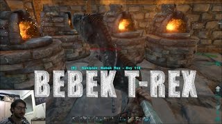 ARK Survival Evolved   Online Bölüm 5  Yumurtadan Çıkan Bebek TRex [upl. by Jerrilyn]