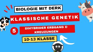 Klassische Genetik  5  Dihybrider Erbgang amp Kreuzungen 3 Mendelsche Regel  10  13 Klasse [upl. by Zsazsa]