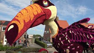 Bloemencorso Winkel 2024 tweede ronde [upl. by Haydon]