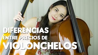 Diferencias entre precios de Violonchelos  Tipos de cellos y costos [upl. by Mildred]