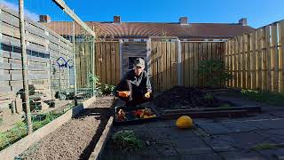 hoe doe je dat en waarom we graag een compostbak willen in onse moestuinen  moestuin oktober [upl. by Malca]