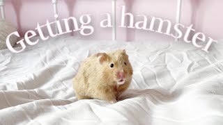 GETTING A SYRIAN HAMSTER  VLOG 🌸🐹 [upl. by Carpio]