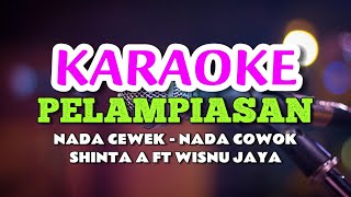 PELAMPIASAN  SHINTA ARSINTA FEAT WISNU JAYA KARAOKE [upl. by Elyac]