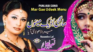 Mar Gae Udeek Menu Mera Dhola Nai Aya Punjabi Sad Song Naseebo lal [upl. by Nilkcaj176]