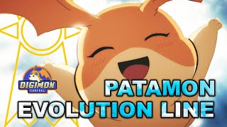 Patamon Evolution Line [upl. by Southworth779]