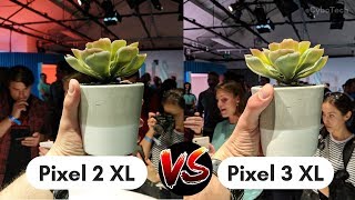 Google Pixel 3 XL VS Pixel 2 XL  Camera Comparison  Camera Test Review [upl. by Gerrit]