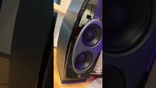 Diora acoustics Lada 7 vs Diora Polaris 300 sound compression [upl. by Ainivad780]