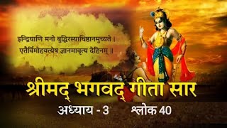 Shreemad Bhagwat Geeta chapter 3 shlok 40  श्रीमद् भगवद्गीता सार अध्याय 3 श्लोक 40 [upl. by Jeri427]