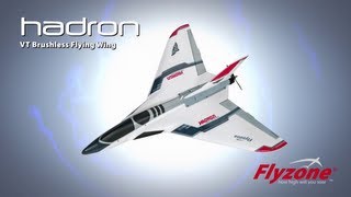 Flyzone Hadron VT Brushless Flying Wings [upl. by Nemzzaj]