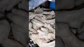 Learn how to make the ultimate Chicken Feet Adobo [upl. by Levy]