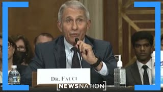 Anthony Fauci testifies in Congress on COVID19 pandemic  On Balance [upl. by Ulu]