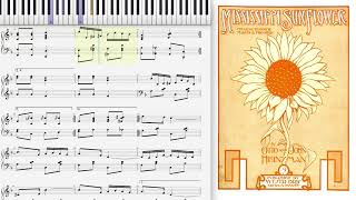 Mississippi Sunflower by Otto amp John Heinzman 1906 Ragtime piano [upl. by Neb564]