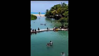 Good Jump Los Patos Barahona river ocean jump [upl. by Kistner197]