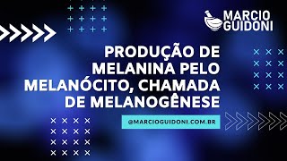 Produção de melanina pelo melanócito chamada de melanogênese [upl. by Prowel]