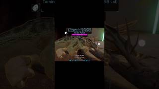 How to tame triceratops in ARK mobile 😶‍🌫️😶‍🌫️😶‍🌫️😶‍🌫️😶‍🌫️ [upl. by Kenrick750]