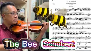 Schubert The Bee L’Abeille Op13 No9 77th HKSMF Violin solo grade 6 2025 香港校際音樂節小提琴比賽六級 舒伯特蜜蜂 [upl. by Eanyl67]