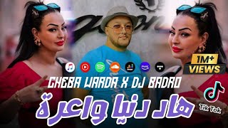 Cheba Warda × Dj Badro  Hadi Denya Wa3ra  Beat Trap Rai  2024 [upl. by Rizika27]