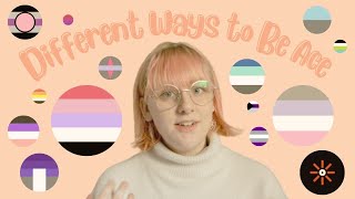 14 Asexual Spectrum Identities  Different Ways to Be Ace [upl. by Orgel974]