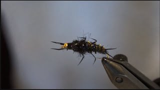 KILLER Black Stonefly Nymph Biot Fly Fishing Fly Pattern [upl. by Demb887]