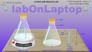 NCERT Class 9th  Activity 31  Chemistry  Law of Conservation of Mass  labOnLaptop  Virtual Lab [upl. by Elly166]