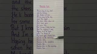 Shalala Lala 🤎  Vengaboys lyrics viral shorts [upl. by Nnodnarb]