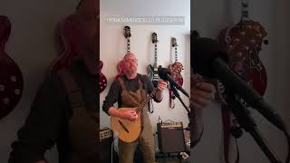 Hora Irish Bouzouki Mandocello plugged in irishbouzouki fishman originalmusic [upl. by Adikam396]