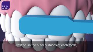 How to Brush Your Teeth Animation MCM [upl. by Ettelegna370]