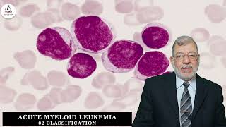 Acute Myeloid Leukemia 02 Classification [upl. by Lohman763]