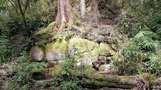 How to get to Kaimanawa Wall near Taupo New Zealand [upl. by Aba270]