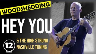 Hey You  Pink Floyd  Guitar Lesson Nashville tuning [upl. by Carlyle92]