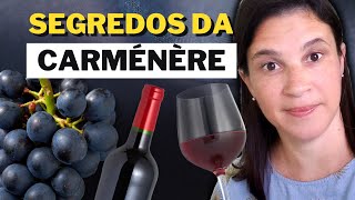 Carménère todos os segredos dessa uva e dos seus vinhos [upl. by Gehlbach]