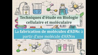 Fiches techniques la fabrication de molécules dADNc à partir dun ARNm [upl. by Attayek]