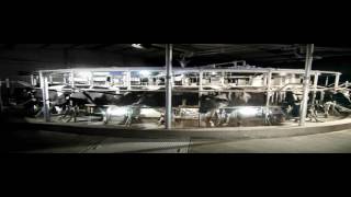 DeLaval Automatic Milking Rotary [upl. by Hornstein594]