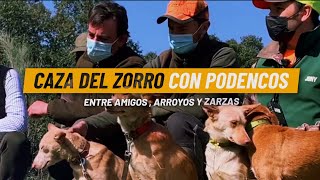 CAZA DEL ZORRO CON PODENCOS ENTRE AMIGOS EN ZARZAS Y ARROYOS  En Holguera 28 Febrero 2021 [upl. by Kcinomod296]