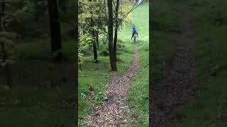 Mtb in forestmtb [upl. by Osner]