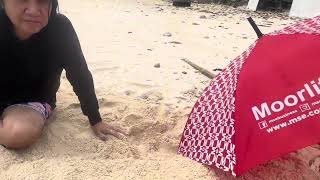 Sand bathing at Dapdap beach resort Anda Bohol [upl. by Haridan992]