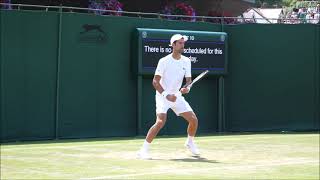 Novak Djokovic Forehands and Backhands In Slow Motion [upl. by Eniamahs]