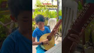 shorts ROSAS PANDAN BANDURRIA short music bandurria shortsviral [upl. by Gnud]