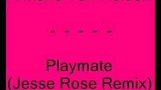 Armand Van Helden  Playmate Jesse Rose Remix [upl. by Verney]