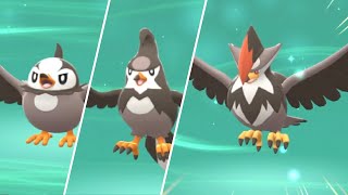 HOW TO Evolve Starly into Staravia into Staraptor in Pokemon Brilliant Diamond and Shining Pearl [upl. by Katharine]