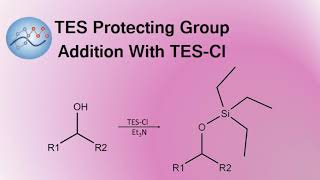 TES Protecting Group Addition With TESCl  Organic Chemistry [upl. by Abdel]