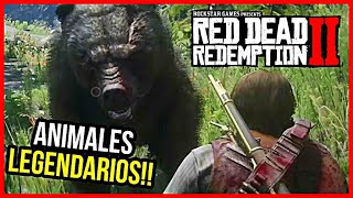 oso legendario localización como cazar red dead redemption 2 [upl. by Va235]